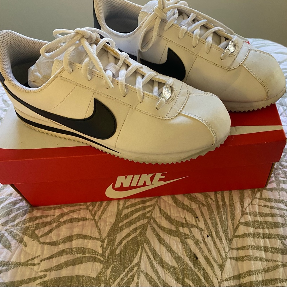 Nike Dunks